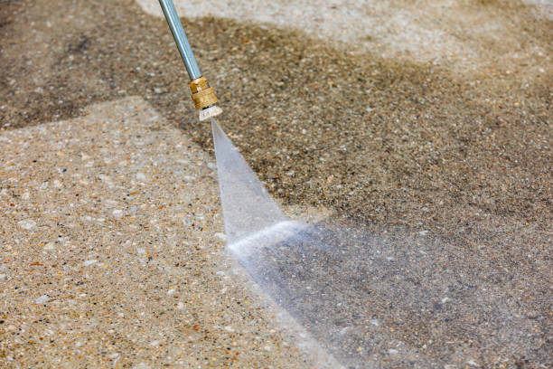 Best Driveway Pressure Washing  in Holloman Af, NM